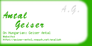 antal geiser business card